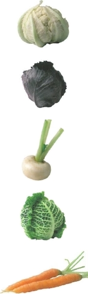 minis légumes divers